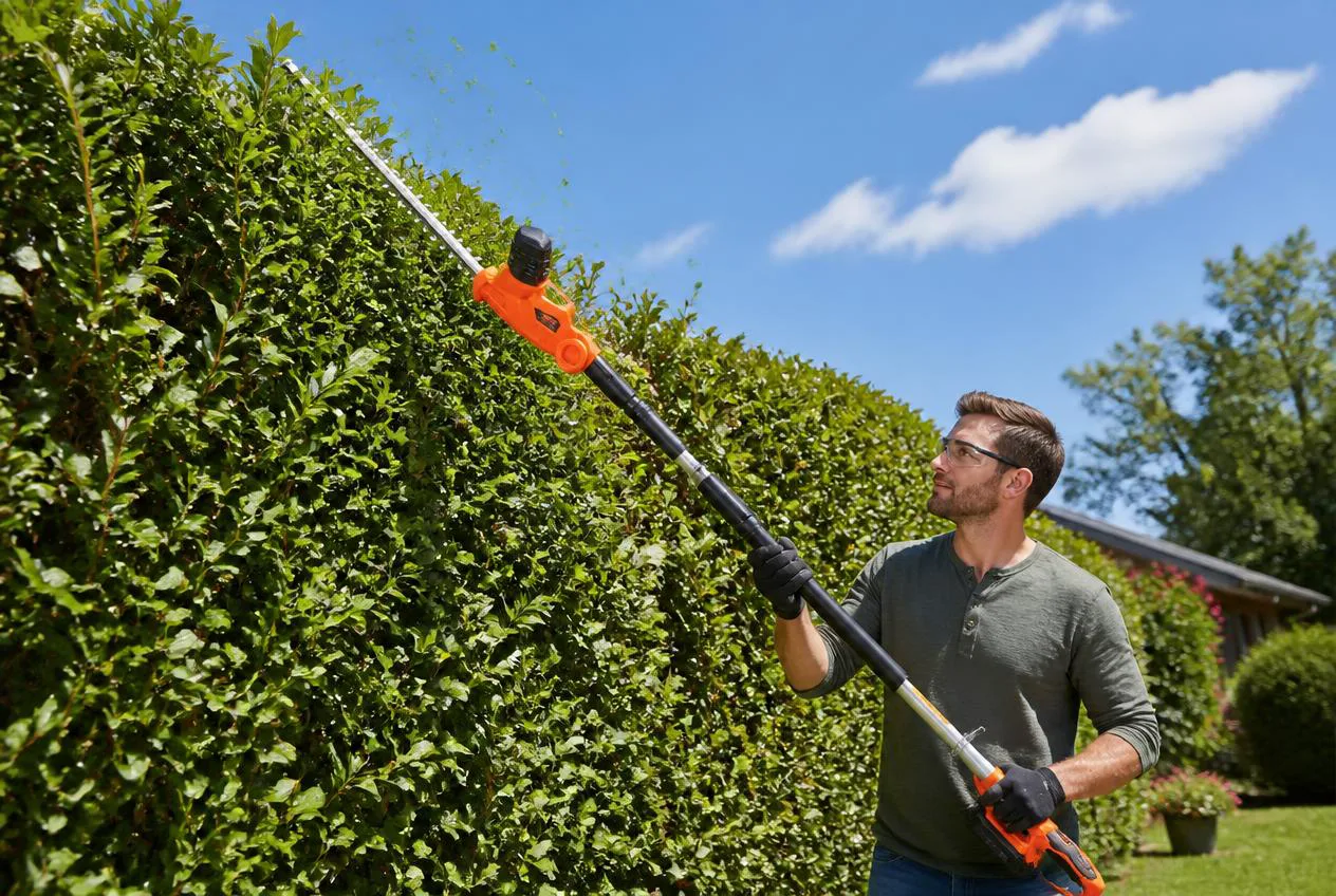 Shaping a tall hedge with a cordless hedge trimmer